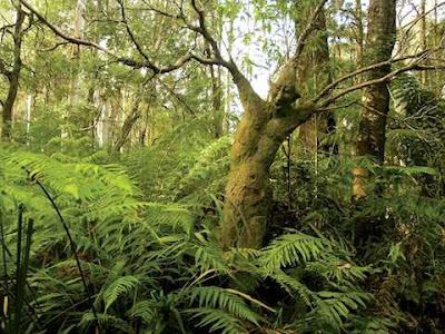 5preciousthings: Bruno Torfs, heartbreak  hope